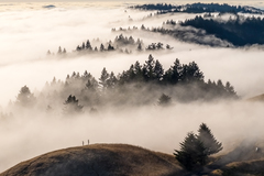 MtTam102b
