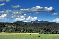 Vršatec