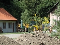 Slnečné ráno