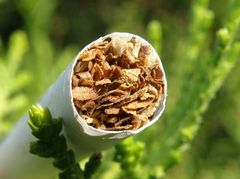 cigareta