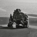 Islandský trojzubec