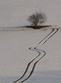 cesta sa kľukatí ...
