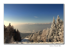 Výhľad na Martinské Hole