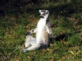 Just relax