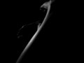 dark