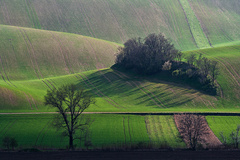 ostrov