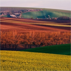 moravská krajina