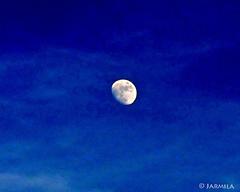Mesiac na modrom nebi