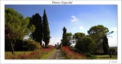 Parco Sigurta'