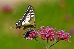 Skusime to z inej strany