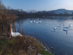Morská panna