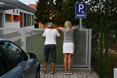 Zvedave