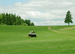 Drevenička na lazoch