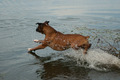 running on the water