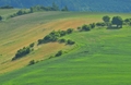 Zelené polia 2