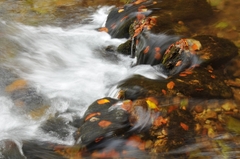 Jesenný potok 1