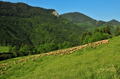 Pod Katovou skalou 2