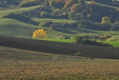 Jesenná krajina 3