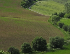 Krajina4