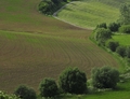 Krajina4