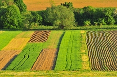 Záhumienky 2