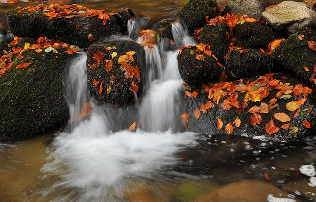 Jesenný potok 2