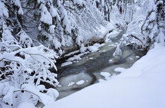Zimná rieka 5