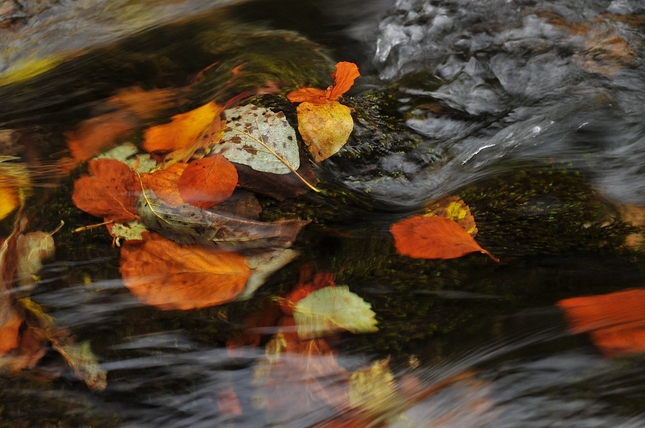Jesenný potok 3