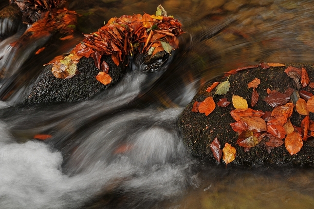 Jesenný potok 1