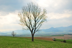 Turiec 1