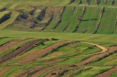 Liptovské pasienky 2