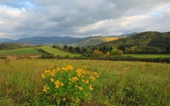 Jesenná krajina
