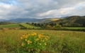 Jesenná krajina