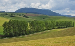 Krajina2