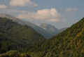 Rozsutec