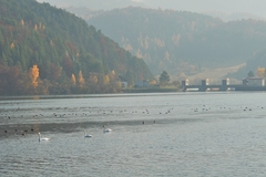 Priehrada 1