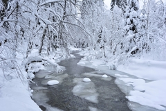 Zimná rieka 7