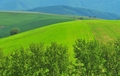 Jasenské polia