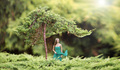 Queen of forest