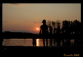 summer postcard