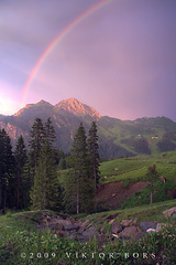 Wonderful colors of life