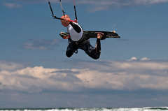 Human Fly