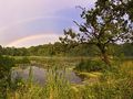 Duha nad rybníkem