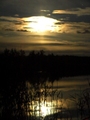 Polnoc