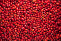 Chilli
