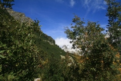 Koniec leta