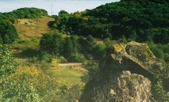 Skala