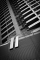 II. z III