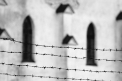 Za ostnatým drôtom II