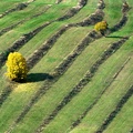 Liptovská Teplička
